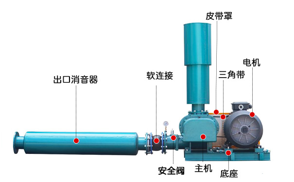 羅茨草莓视频污视频結構介紹