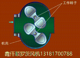 羅茨草莓视频污视频工作原理