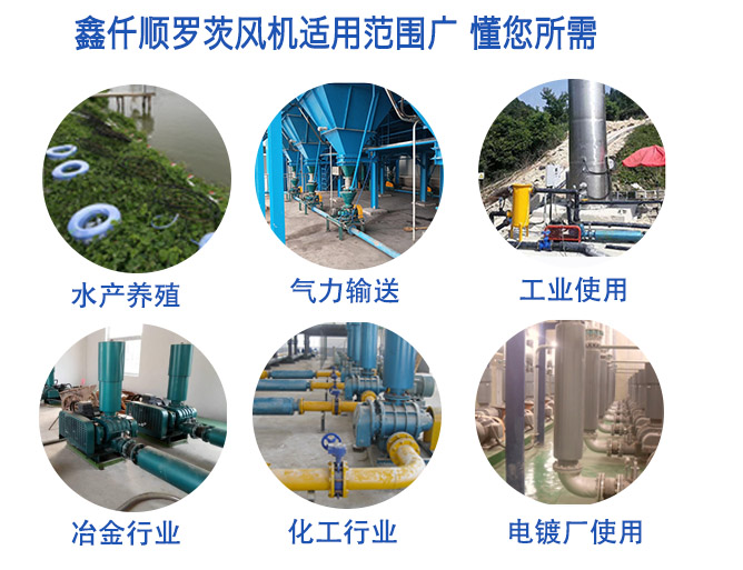 高壓羅茨鼓草莓视频污视频