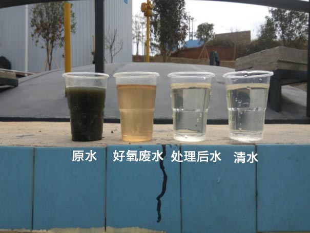 汙水曝氣羅茨鼓草莓视频污视频應用案例 汙水曝氣羅茨鼓草莓视频污视频應用案例
