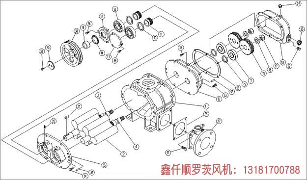 三葉羅茨鼓草莓视频污视频安裝示意圖